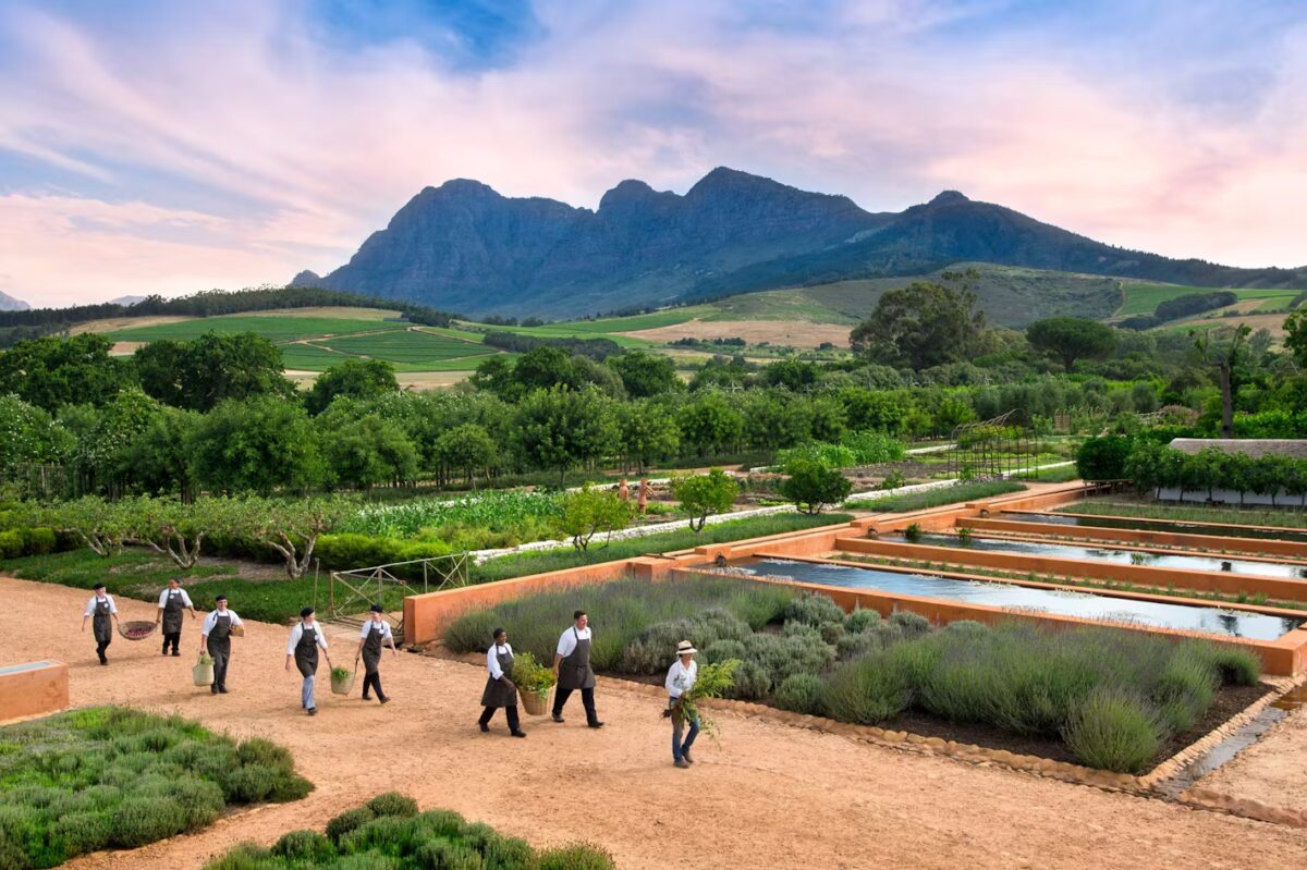 Babylonstoren Farm Hotel in Franschhoek
