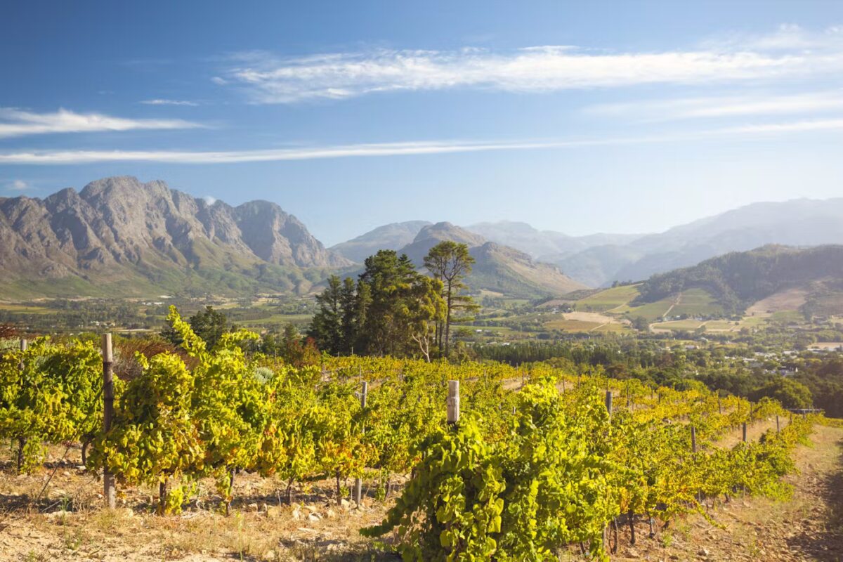 The Franschhoek Valley in the Cape Winelands